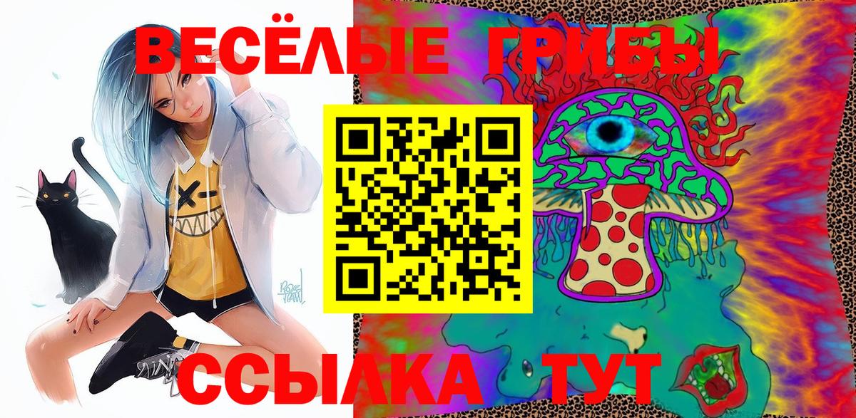 Балашиха  Псилоцибиновые грибы ЛСД  Вход с VPN 